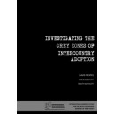 Investigating the grey zones of intercountry adoptions